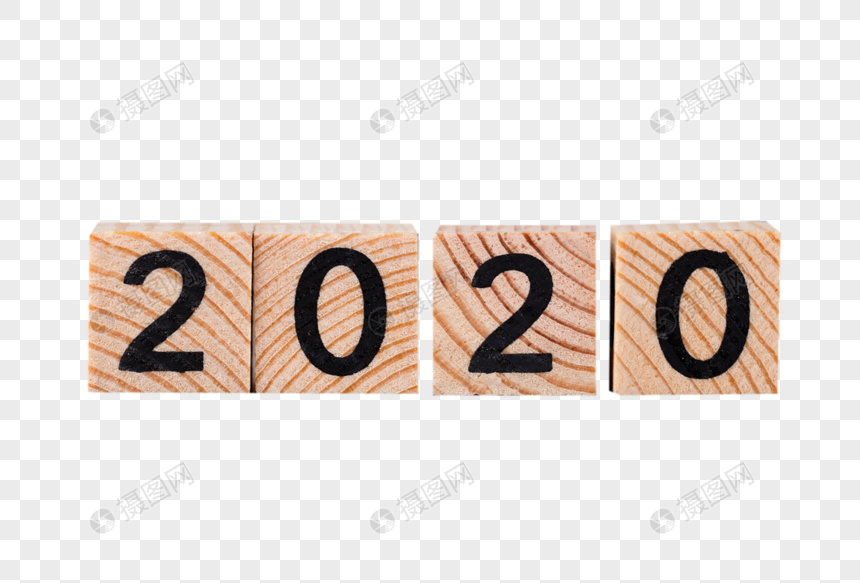2020积木图片