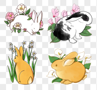 花和兔子春季仙客来高清图片