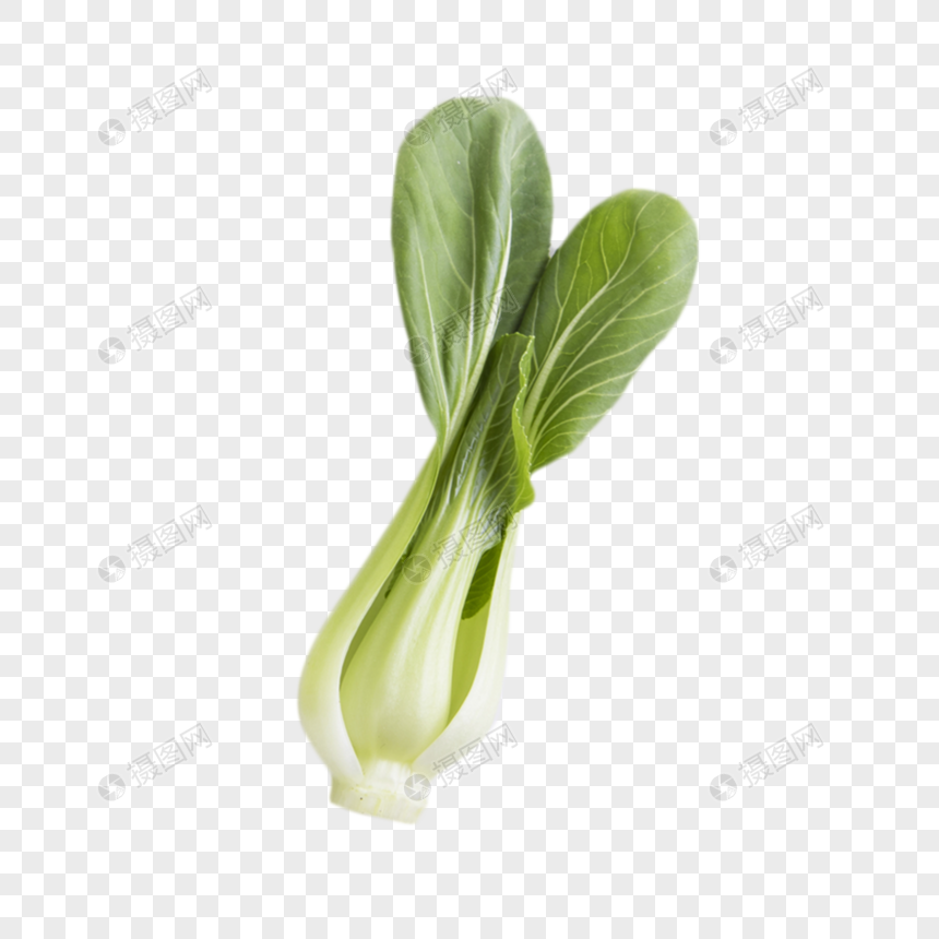 小油菜蔬菜图片