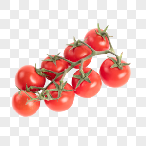 新鲜蔬菜小番茄图片