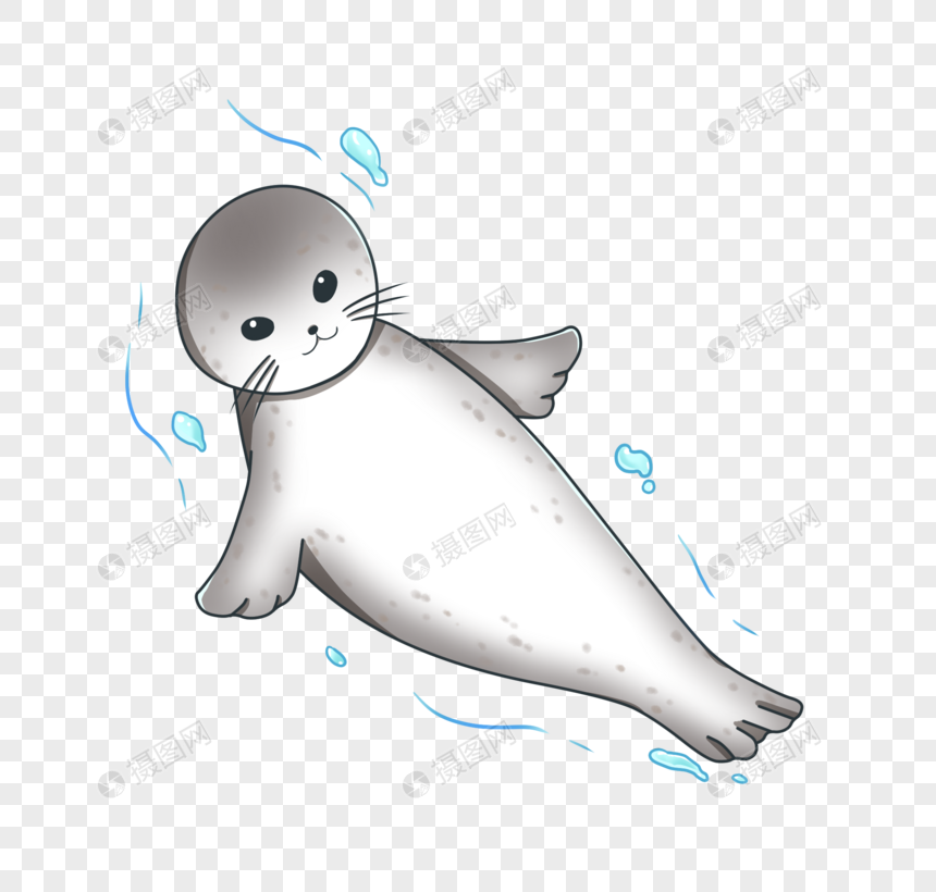 斑海豹