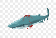 杀戮鲨鱼图片