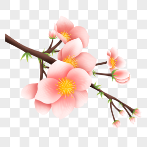 春天粉色桃花开高清图片
