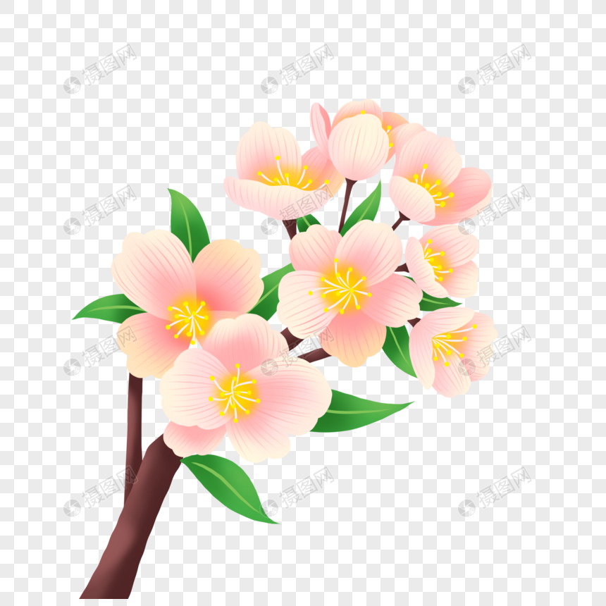 盛开的粉色桃花枝图片