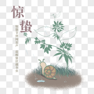 青藤下的蜗牛图片