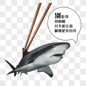 禁食野味鲨鱼图片