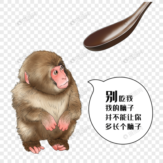 禁食野味猴子图片
