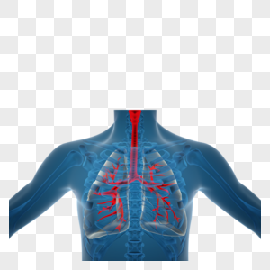 肺部X光片疫情防控片高清图片