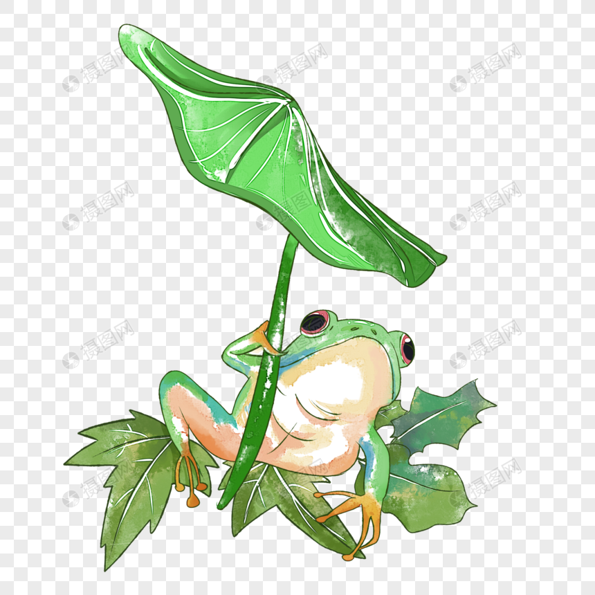 惊蛰节气青蛙水彩