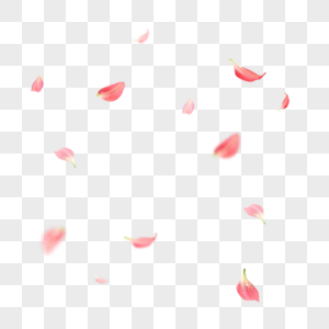 飘落的花瓣手绘红芭乐高清图片