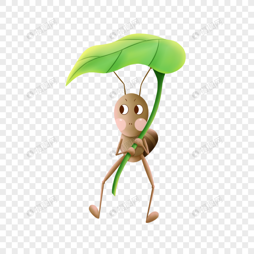 顶着树叶的蚂蚁