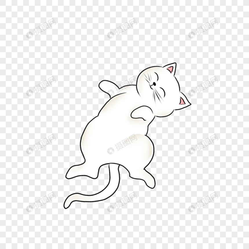 躺着的小猫
