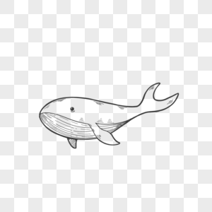 鲸鱼线稿简笔画图片