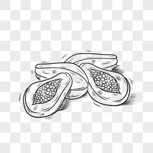 食物水果黑白线条木瓜图片