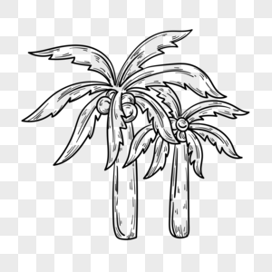 手绘夏日椰子树简笔画图片