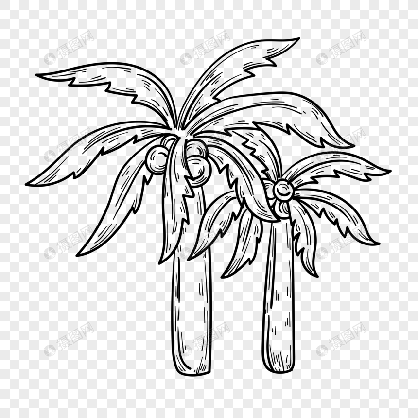 手绘夏日椰子树简笔画
