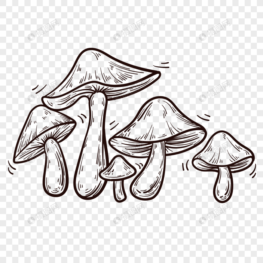 手绘植物蘑菇简笔画