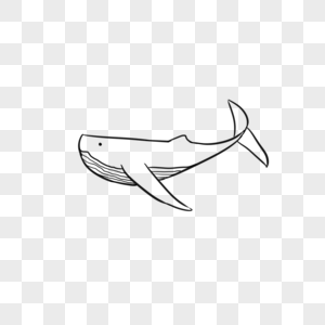 鲸鱼线稿图片