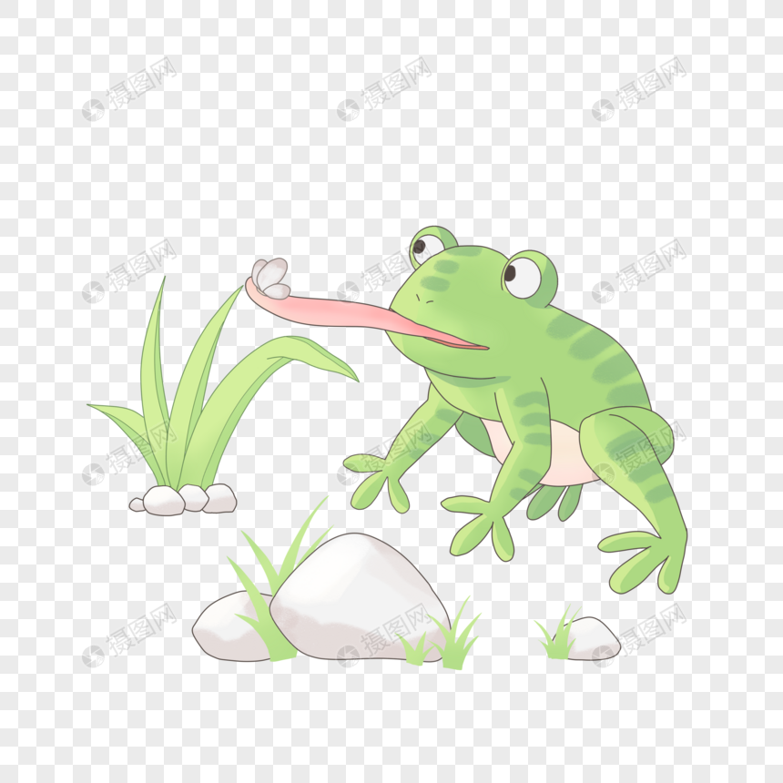 青蛙捕食飞虫