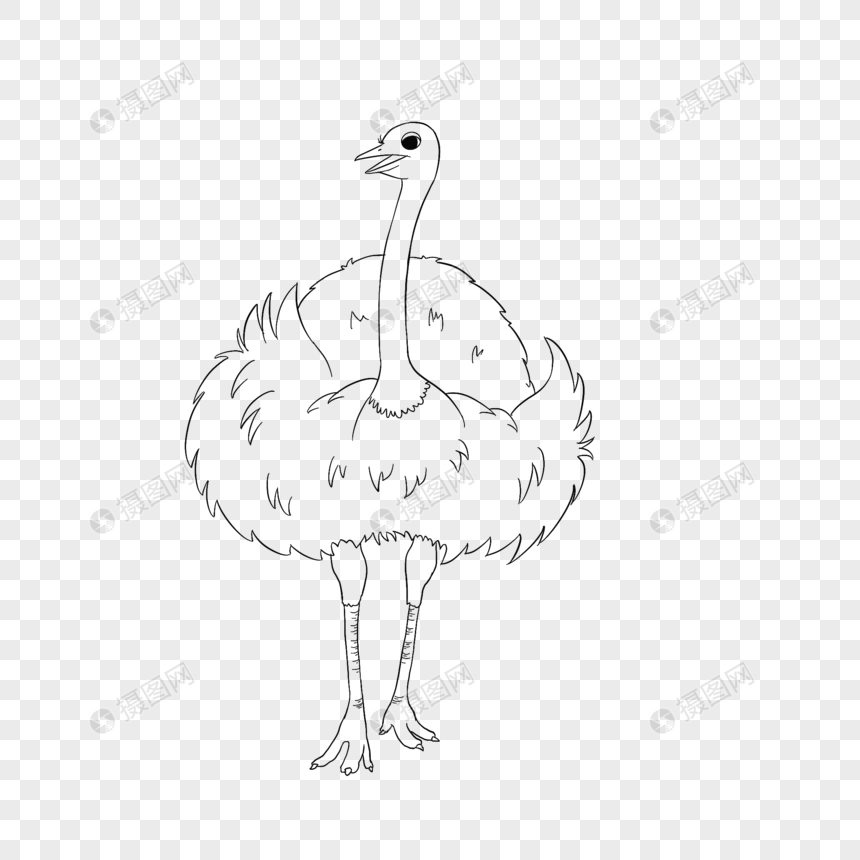 鸵鸟线稿简笔画