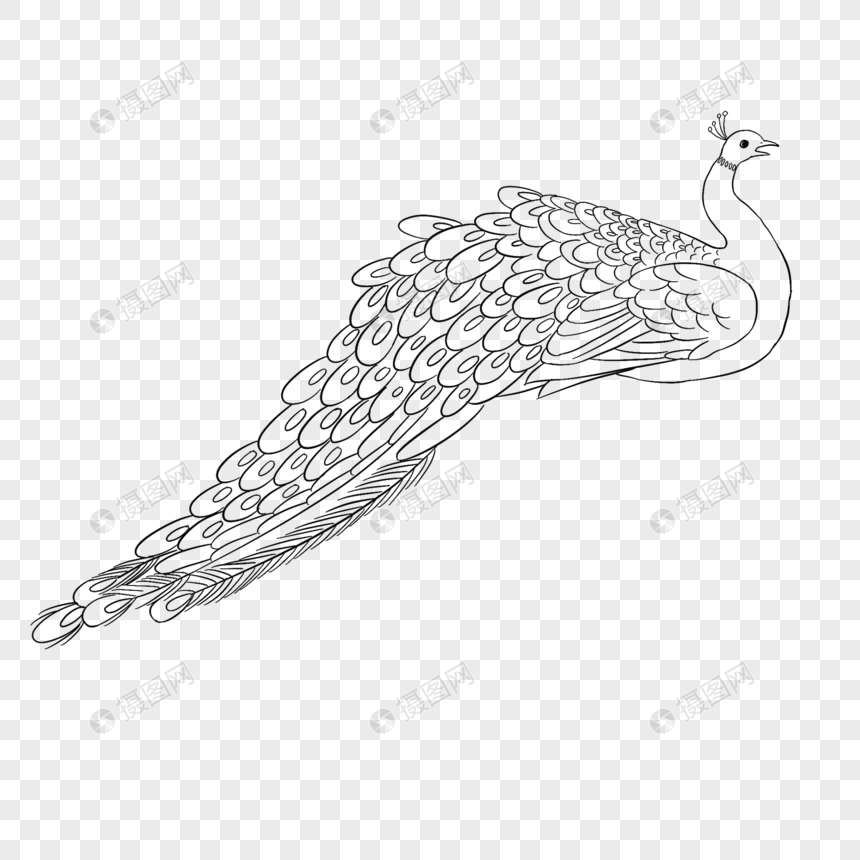 孔雀线稿简笔画