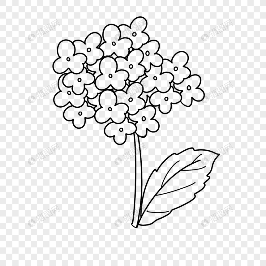 免抠元素 手绘/卡通元素 绣球花简笔画.png 860_860