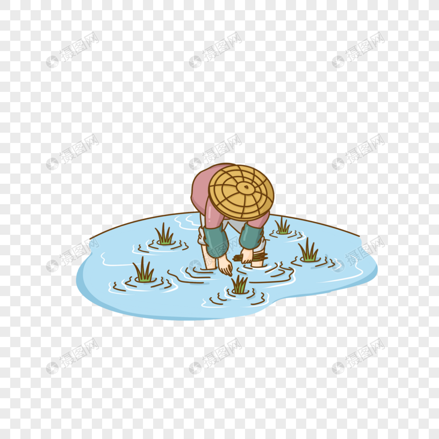 谷雨插秧