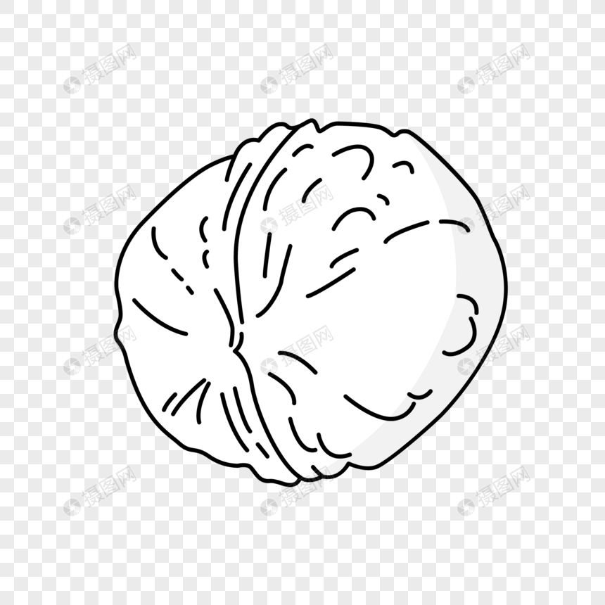 核桃简笔画