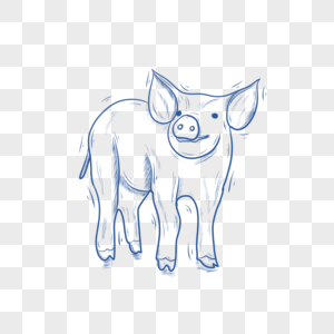 蓝色线条动物简笔画猪图片