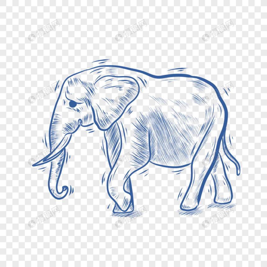 蓝色线条动物简笔画大象