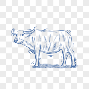 蓝色线条动物简笔画水牛图片
