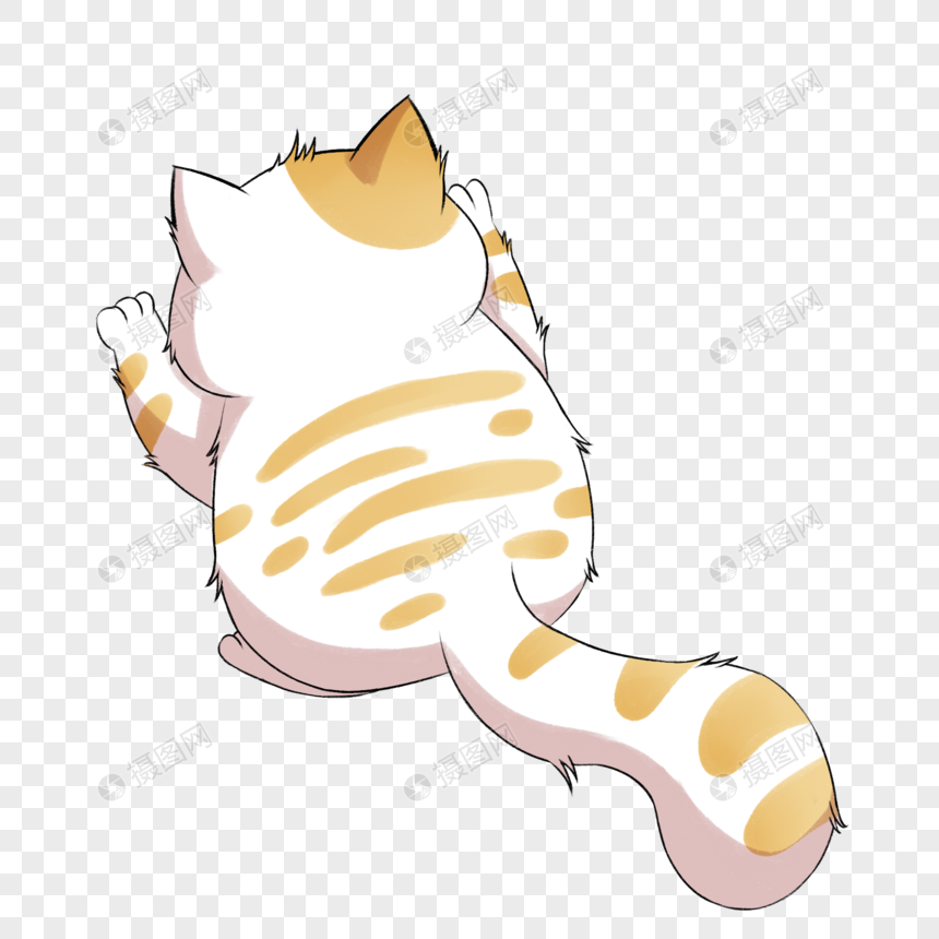 趴着的小猫背影