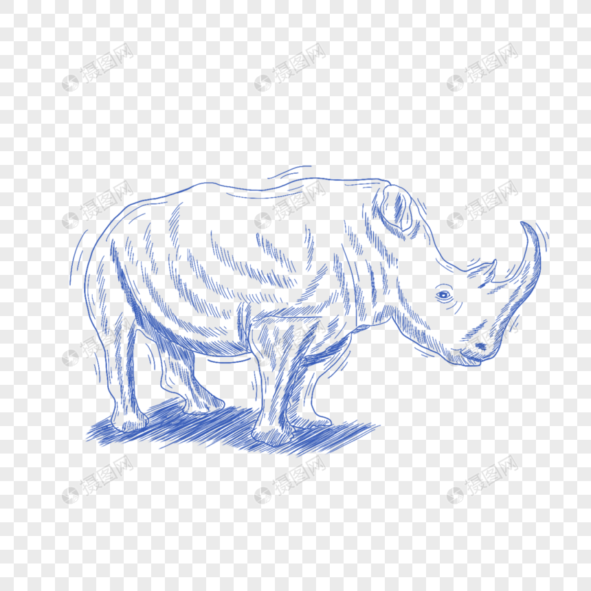 蓝色线条动物简笔画犀牛