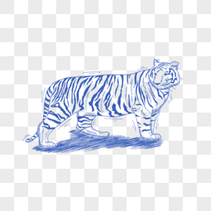 蓝色线条动物简笔画老虎图片
