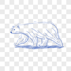 蓝色线条动物简笔画北极熊图片