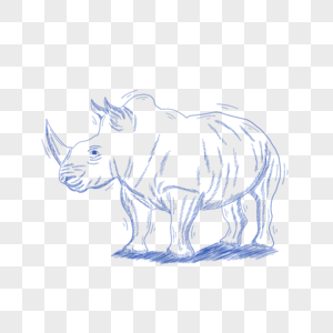 蓝色线条动物简笔画犀牛图片
