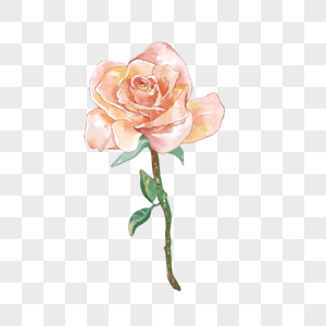 玫瑰水彩玫瑰表白高清图片