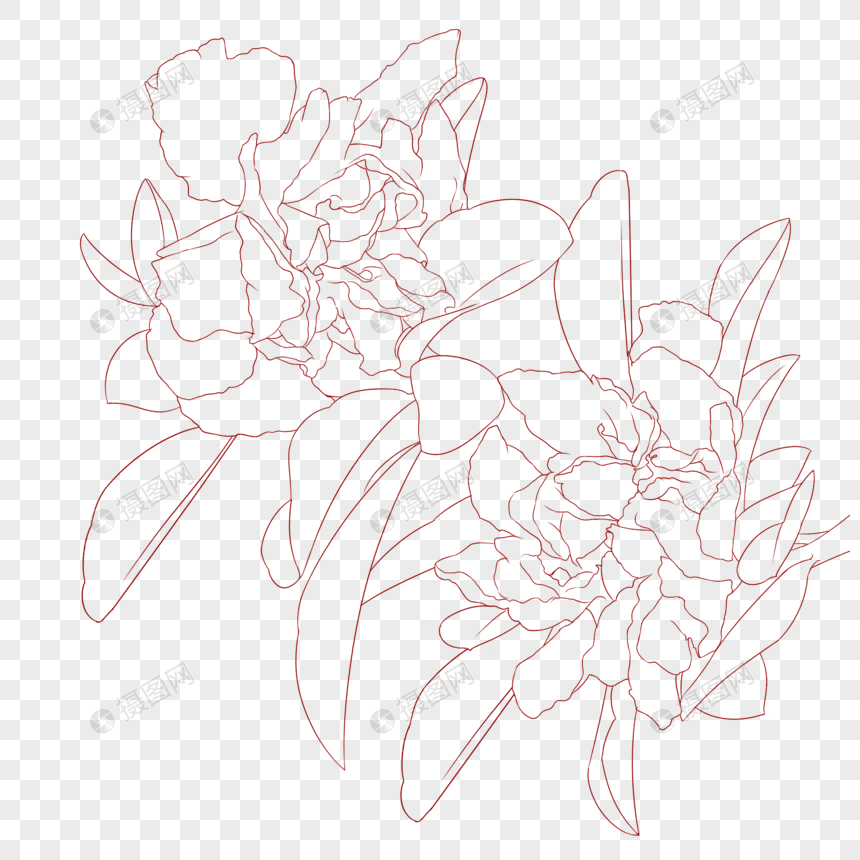 石榴花简笔画