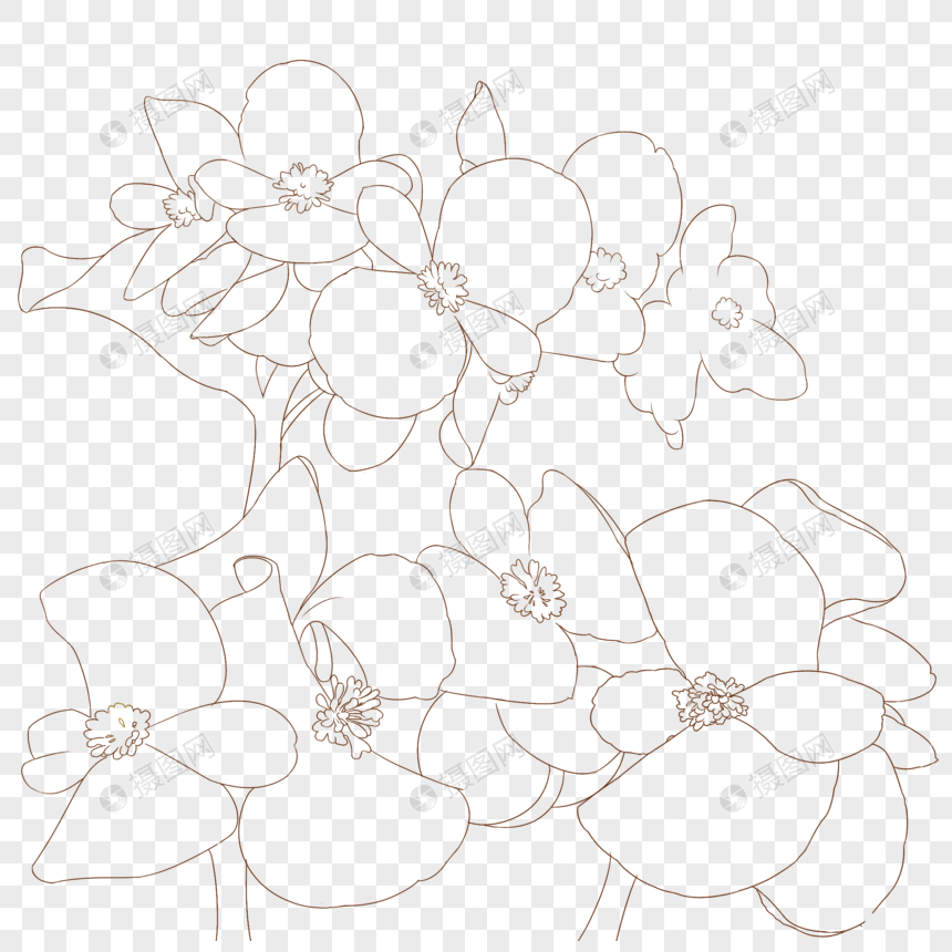 免抠元素 手绘/卡通元素 四季海棠花简笔画.png 860_860