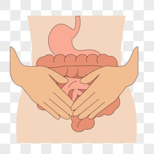 肠道保护肠胃保护高清图片