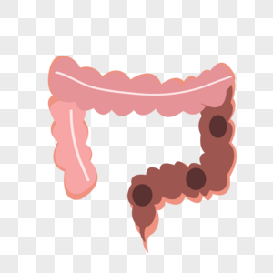 肠道通畅图片