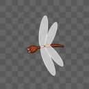 飞翔的蜻蜓图片