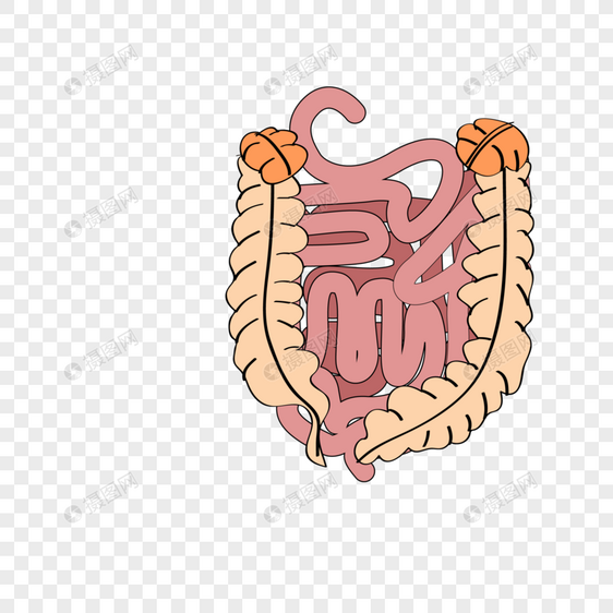 肠道管理图片