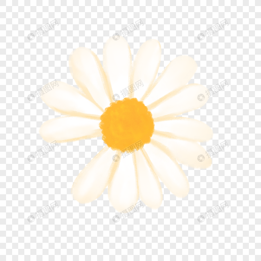 手绘夏季缺口小雏菊