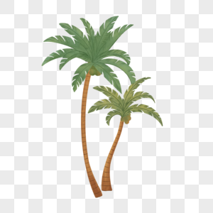 夏天棕榈树装饰图案高清图片