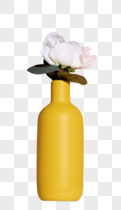 花朵花瓶图片