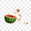 吃西瓜的小猫图片