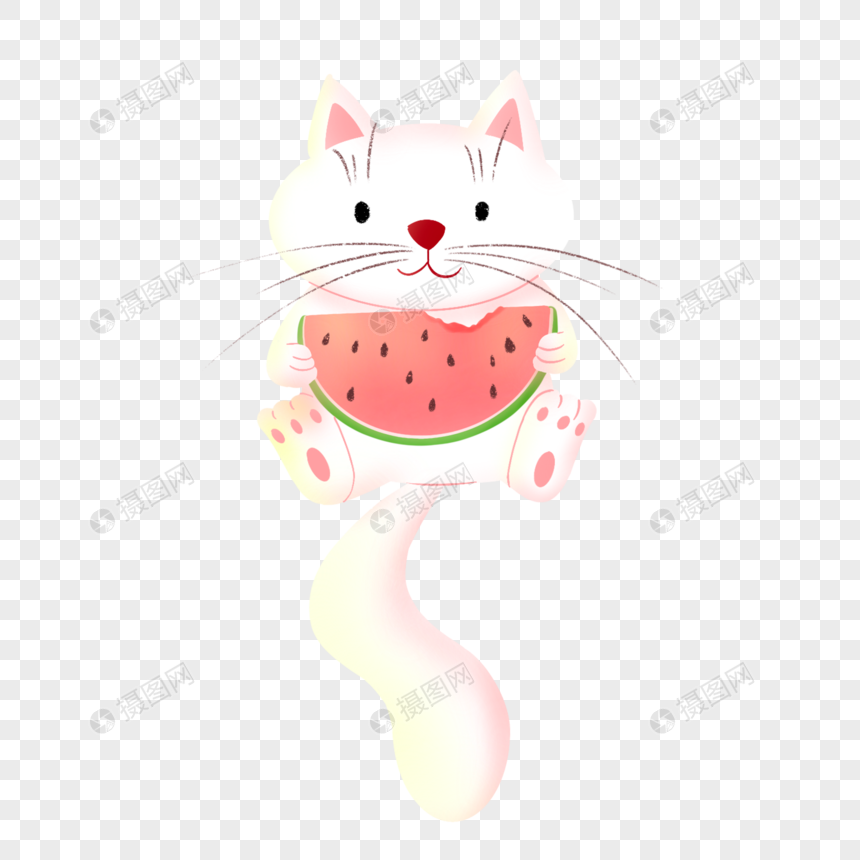 坐着吃瓜的小猫图片