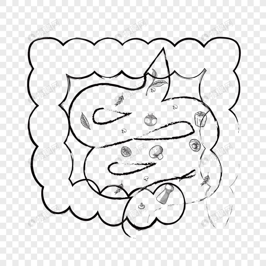 线描肠道