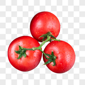圣女果番茄图片